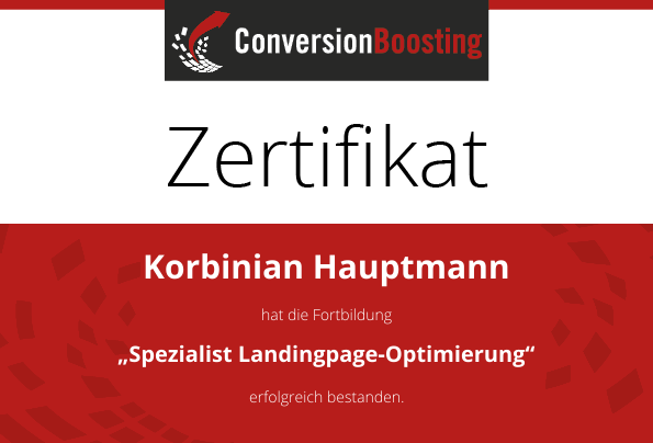 Manager Conversion-Optimierung