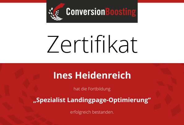 Manager Conversion-Optimierung