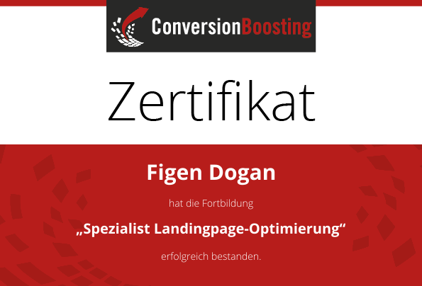 Manager Conversion-Optimierung