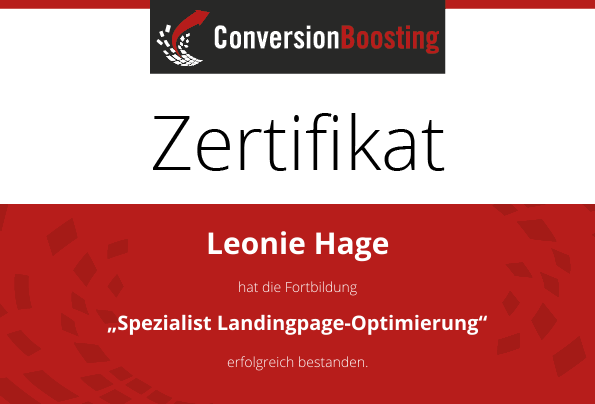 Manager Conversion-Optimierung