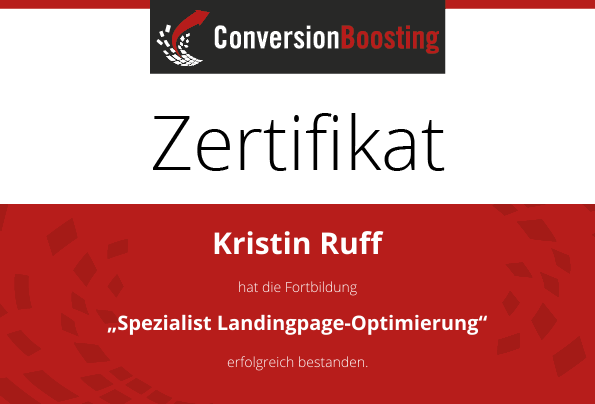 Manager Conversion-Optimierung