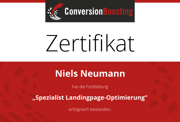 Manager Conversion-Optimierung