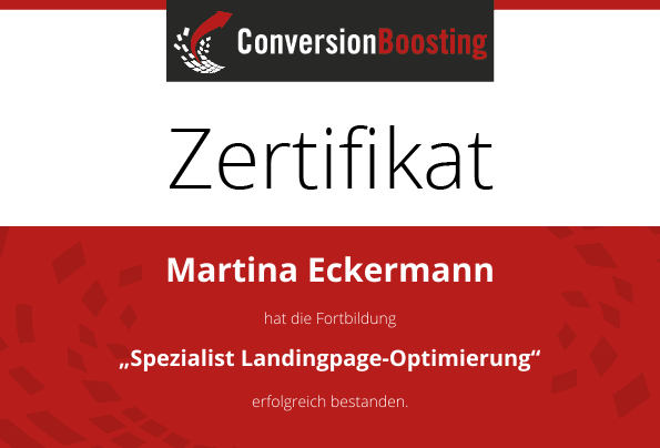 Manager Conversion-Optimierung