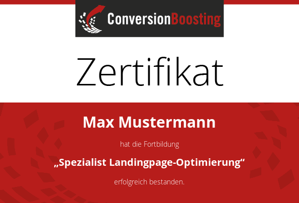 Manager Conversion-Optimierung