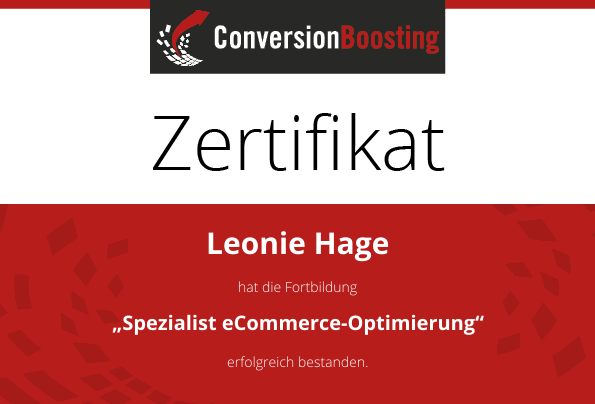 Manager Conversion-Optimierung