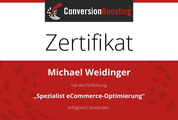 Manager Conversion-Optimierung