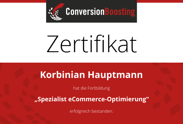 Manager Conversion-Optimierung