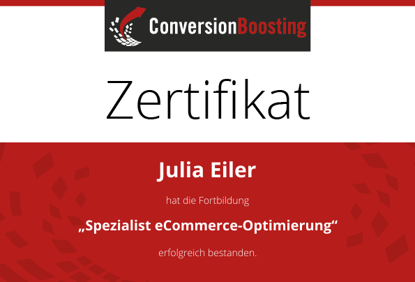 Manager Conversion-Optimierung