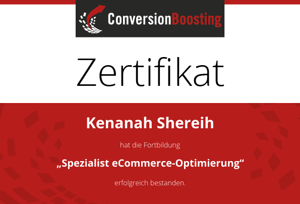 Manager Conversion-Optimierung
