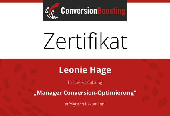 Manager Conversion-Optimierung